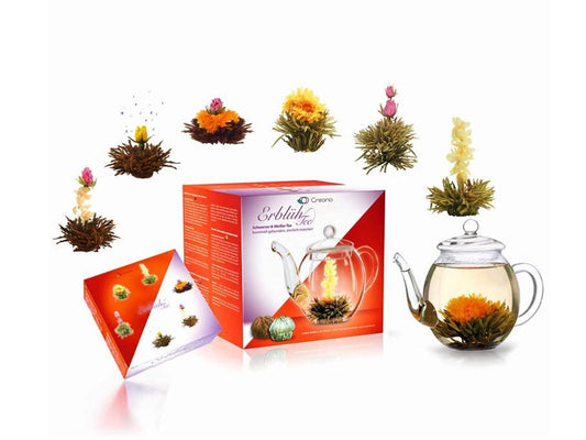 Erblüh-Tee Set Schwarzer & Weißer Tee mit Glaskanne (500ml) mit 6 Erblüh-Teekugeln in 6 Variationen - First-Cup