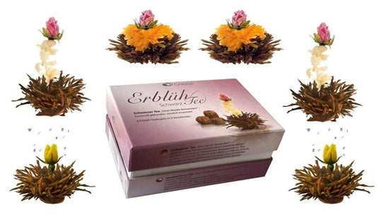 6 Teeblumen Erblüh-Tee in schöner Geschenkbox - Schwarztee - First-Cup